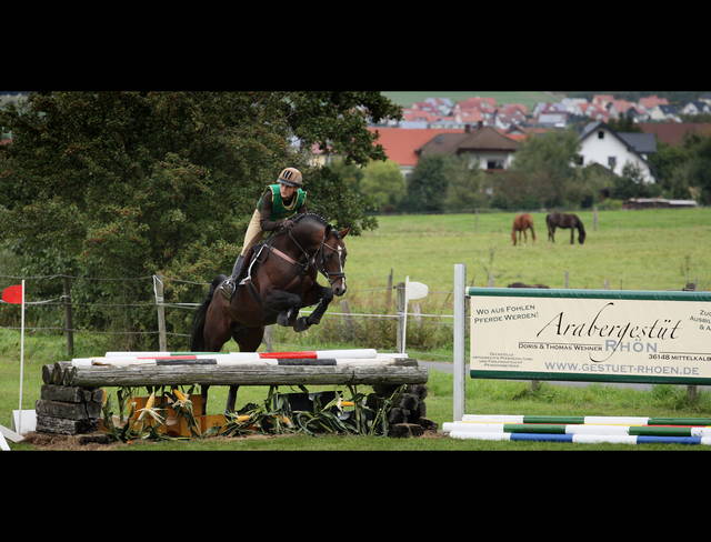 Jonathan Marquardt und Elitehengst Marek (AA) im Hessen-Kader