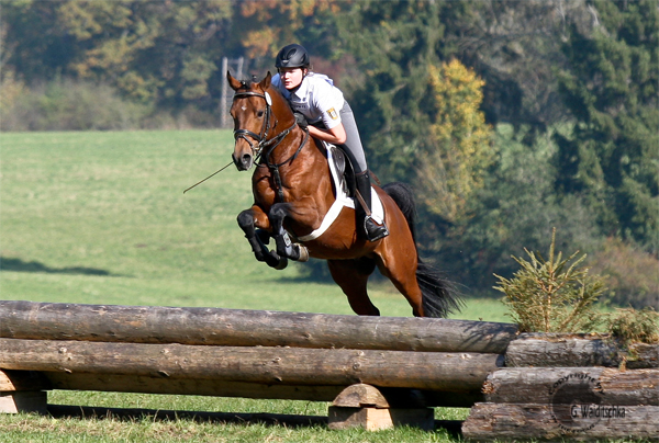 Hengstleistungsprüfung Marbach 2010