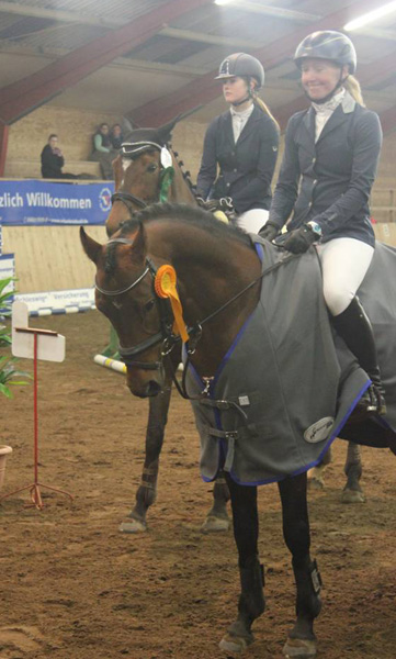 Tolle Buscherfolge für Araberhengste