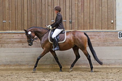 Ostertraum 1 c B. Finke IN THE FOCUS Ostertraum 1 c B. Finke IN THE FOCUS