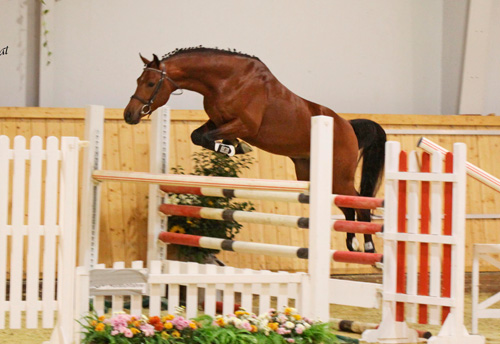 Haskar startet in die Saison