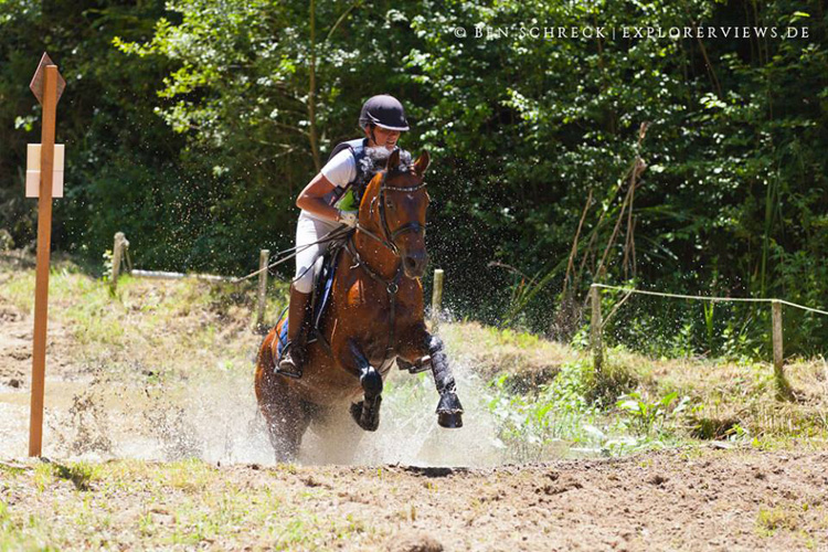 Haskar in Frankreich