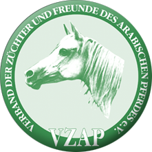 VZAP-Logo