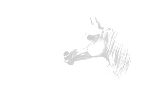 Mitgliederversammlung 2021