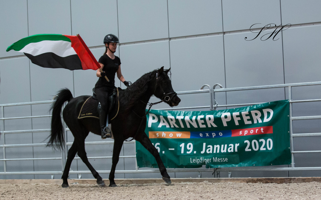 Sweet Arabians auf der „Partner Pferd“