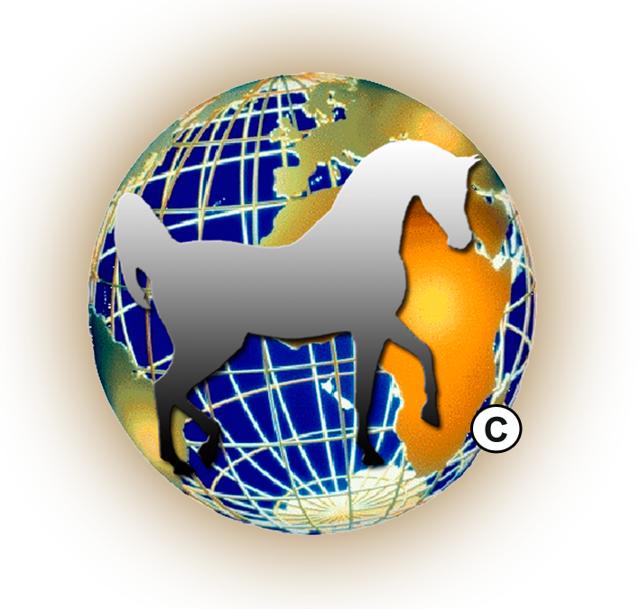 Nationales Championat 2019 – Richteränderung