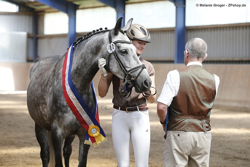 VZAP-Veranstaltung vom 27.7.2019 in Bad Oldesloe
