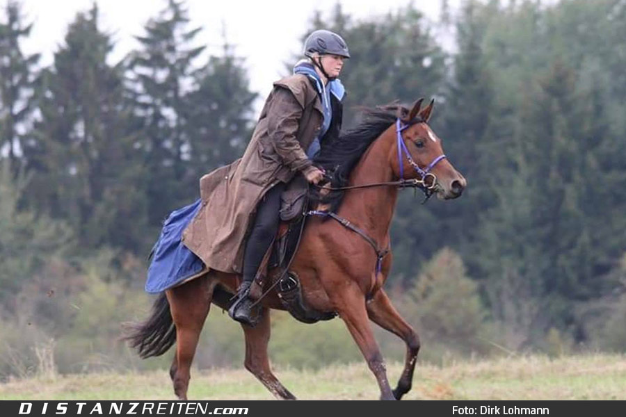 Nadiera siegt auf dem Distanzritt „Zu Gast bei…“