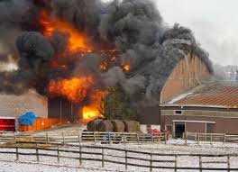 Einladung zum Lehrgang Brandschutzhelfer im Pferdebetrieb