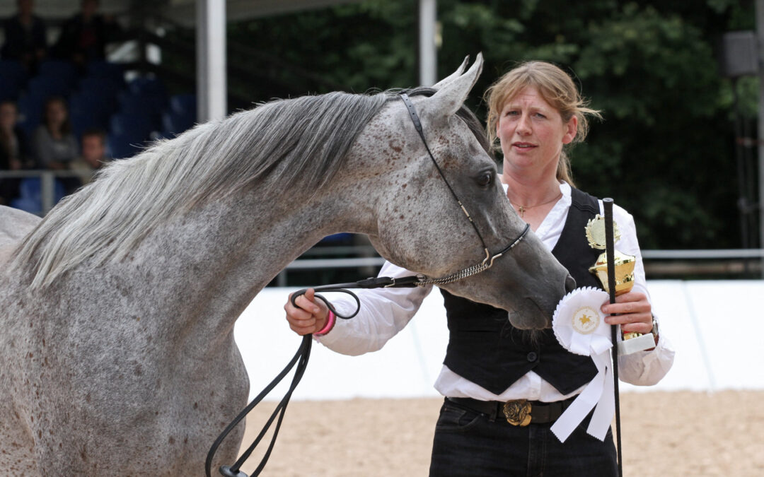Stuten- und Fohlenprämierung des VZAP am 30.08.2020 in Marbach