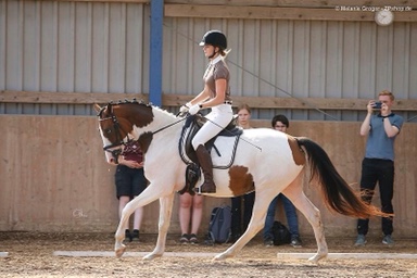 „Arabischer Adel im Norden“ am 08.08.2020