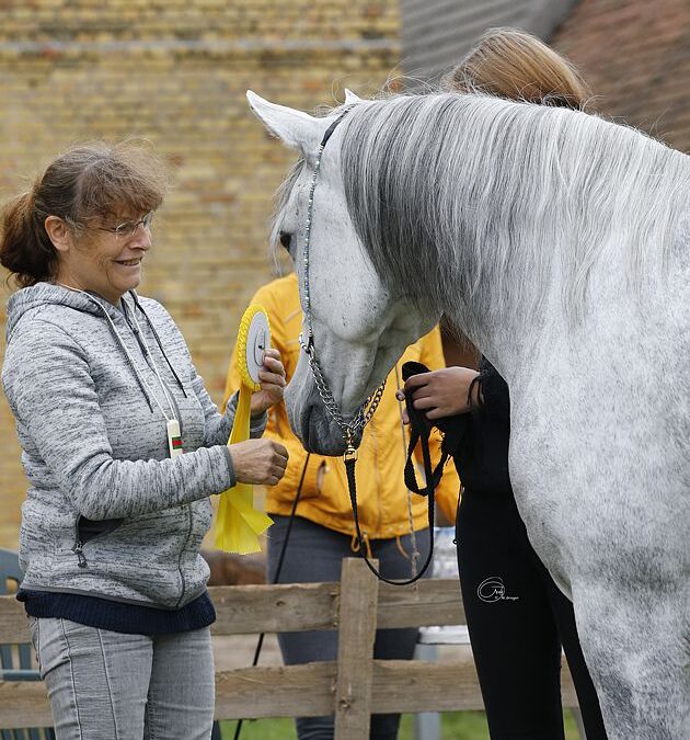 Stuten- und Fohlenprämierung in Coswig/Sachsen-Anhalt am 05.09.2020