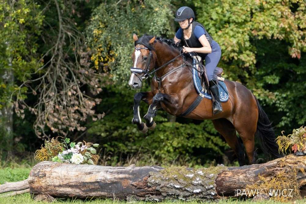 In Deak erfolgreich beim 100-Tage-Test in Polen