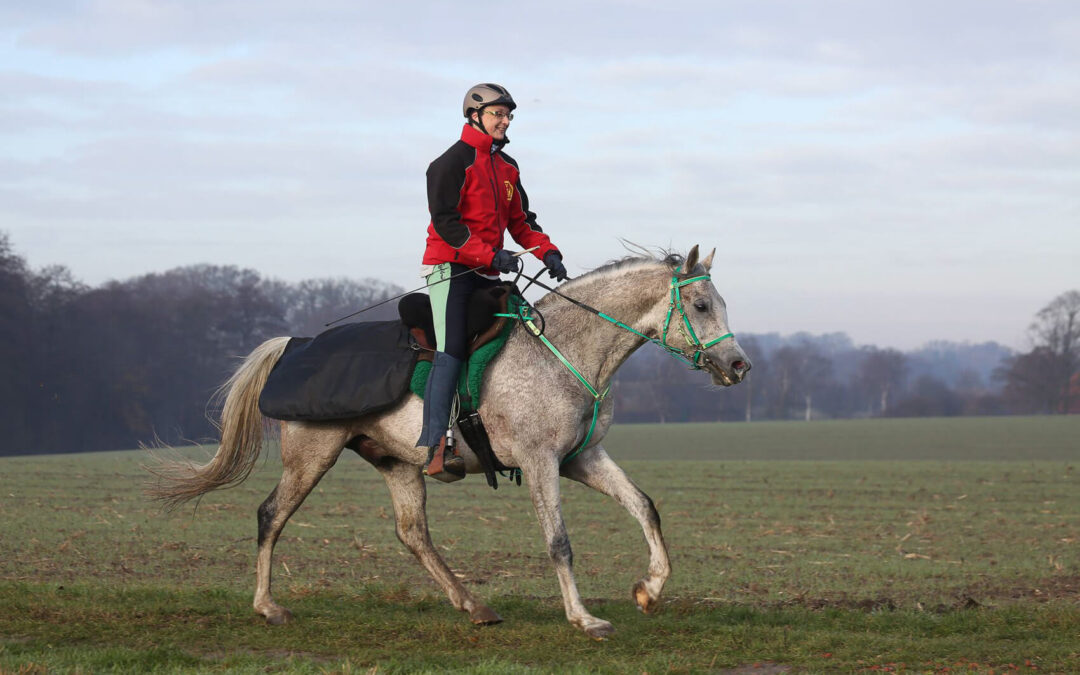 Ein letztes Mal: Distanzpferdestatistik 2021