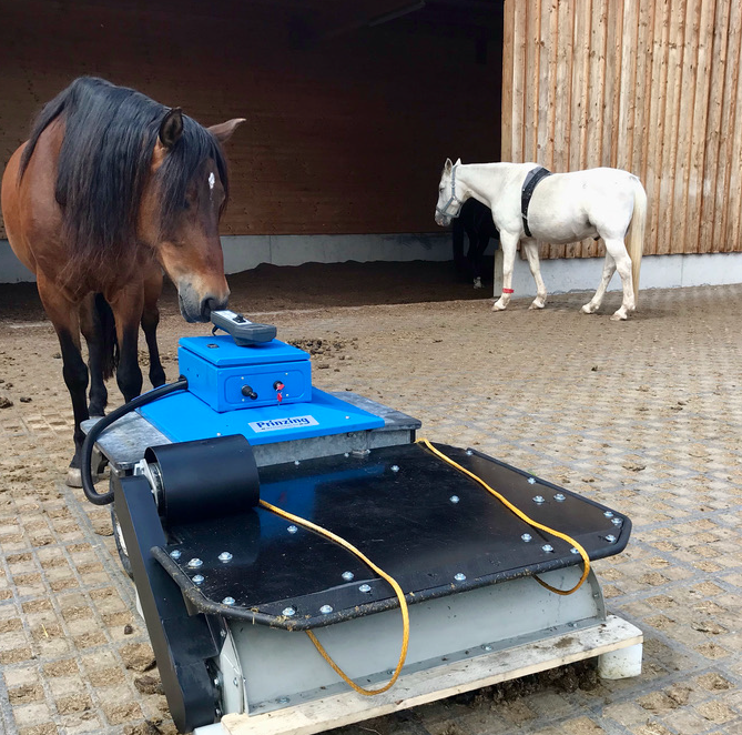 Umfrage zum Stand der Digitalisierung auf Pferdebetrieben