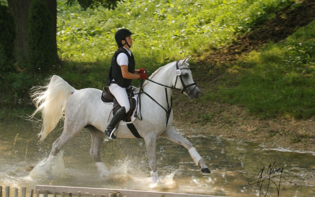 HLP Ausschreibung, Nennung und Zeitplan