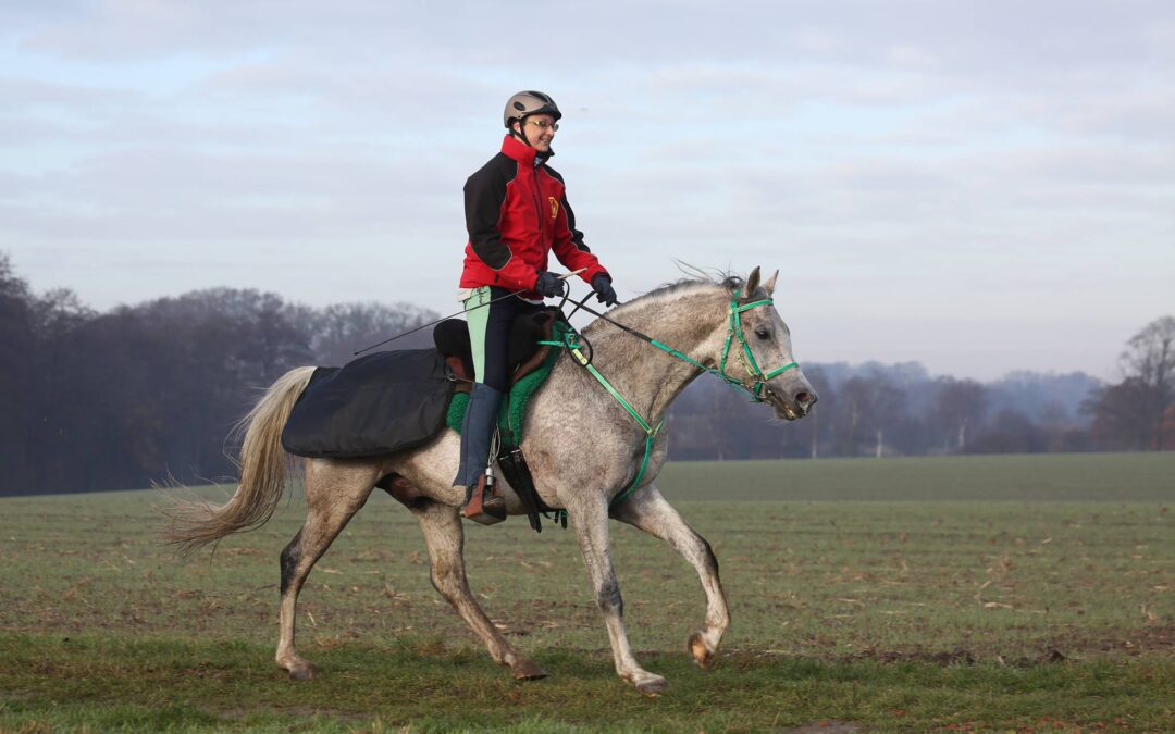 Wichtiger Hinweis für Sportpferdeplakette Distanz