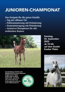 Event auf der Kauber Platte am 03.09.2023