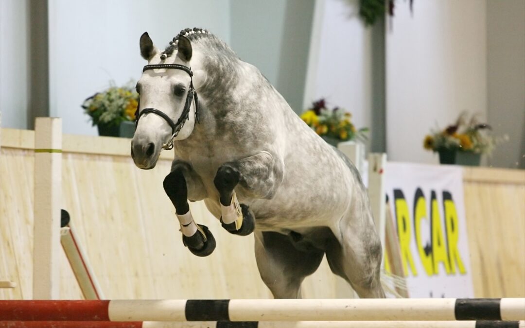 Save the Date – 26. und 27.10.2024