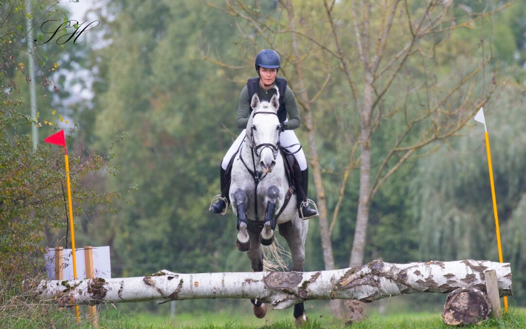 Absage der Hengstleistungsprüfung