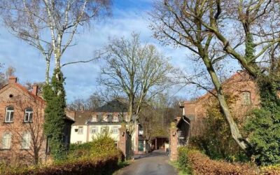 VZAP-Zuchtpferdechampionat in Kranichstein am 26.10.2025