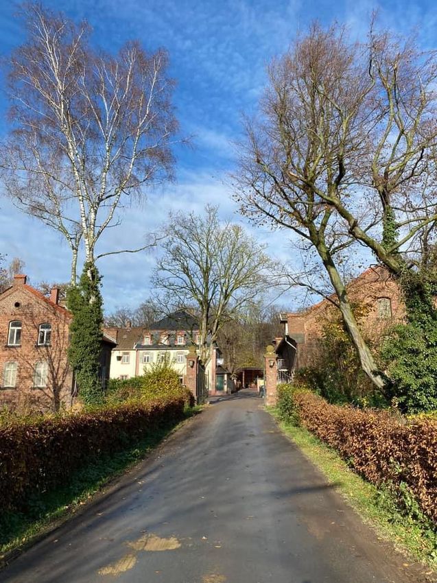 VZAP-Zuchtpferdechampionat in Kranichstein am 26.10.2025