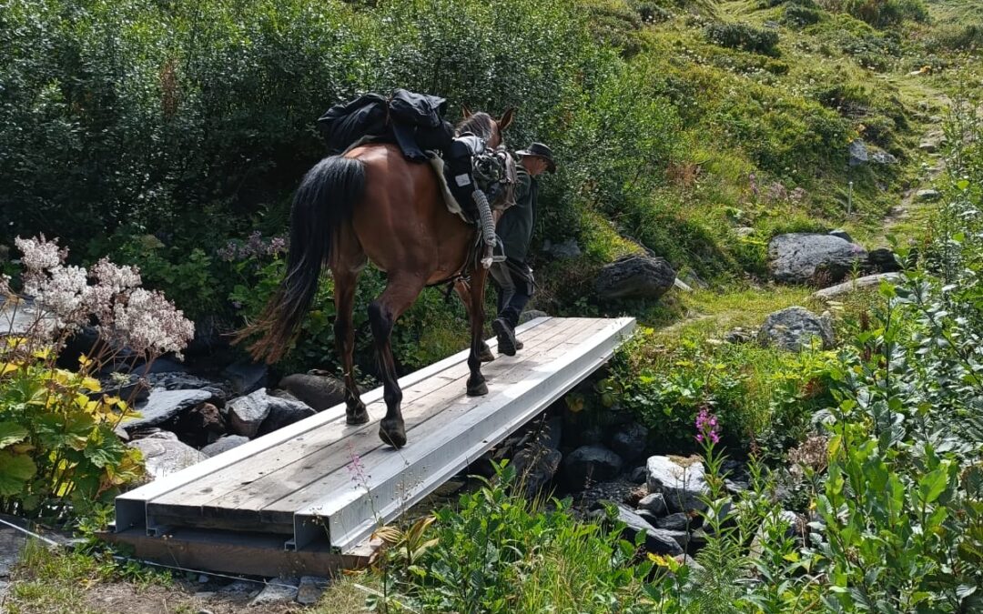 Willi Weiß unterwegs: Nach der Eurocheval nun im Sattel durch die Alpen