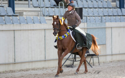 Zeitplan ANC-Turnier Aachen ist online