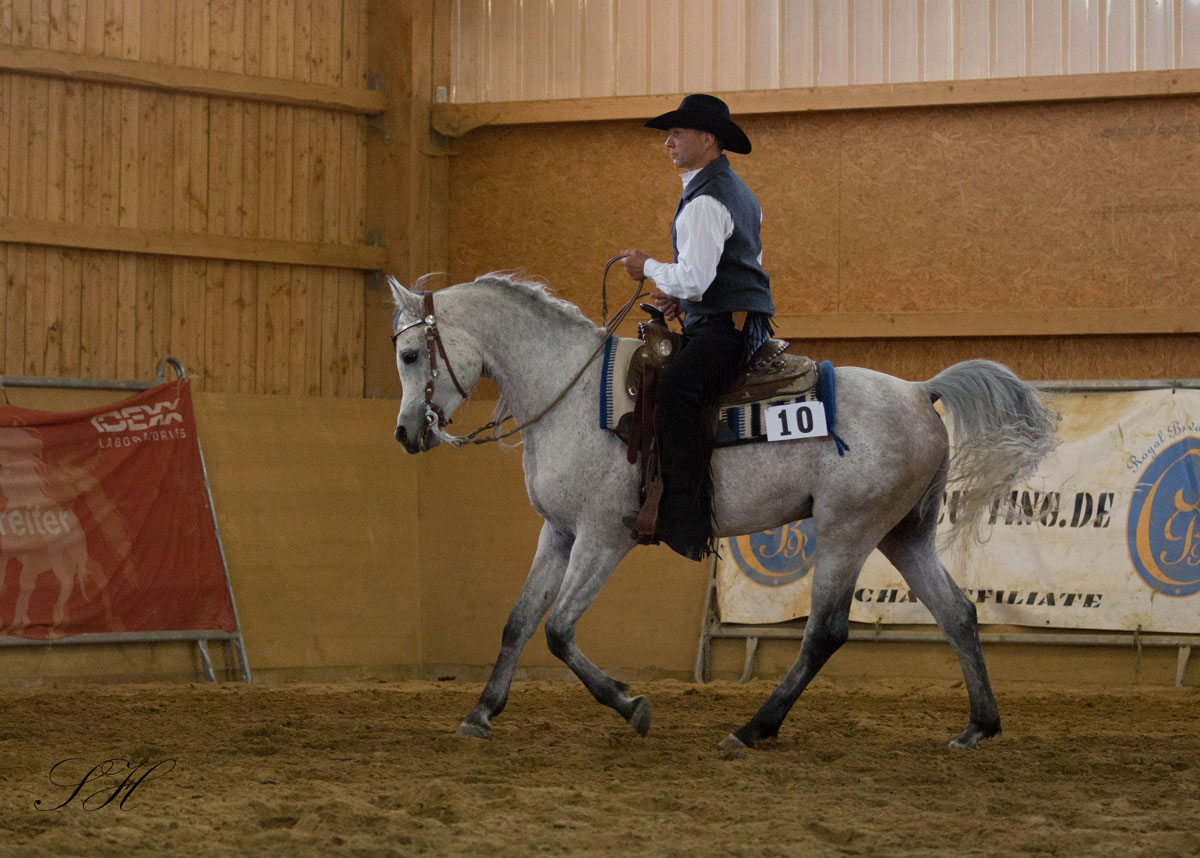 Hahn_Sirid_Mouammar-Pauli-2018 (5)