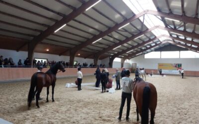 UPDATE zum Arabischen Wochenende in Kranichstein am 25./26. Oktober 2025