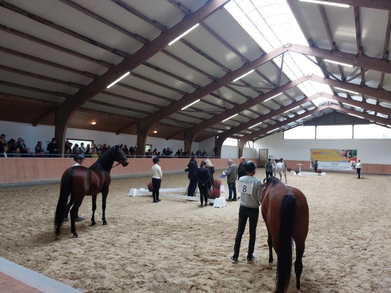 UPDATE zum Arabischen Wochenende in Kranichstein am 25./26. Oktober 2025