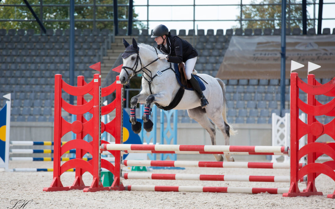 Sportpferdeplaketten 2025