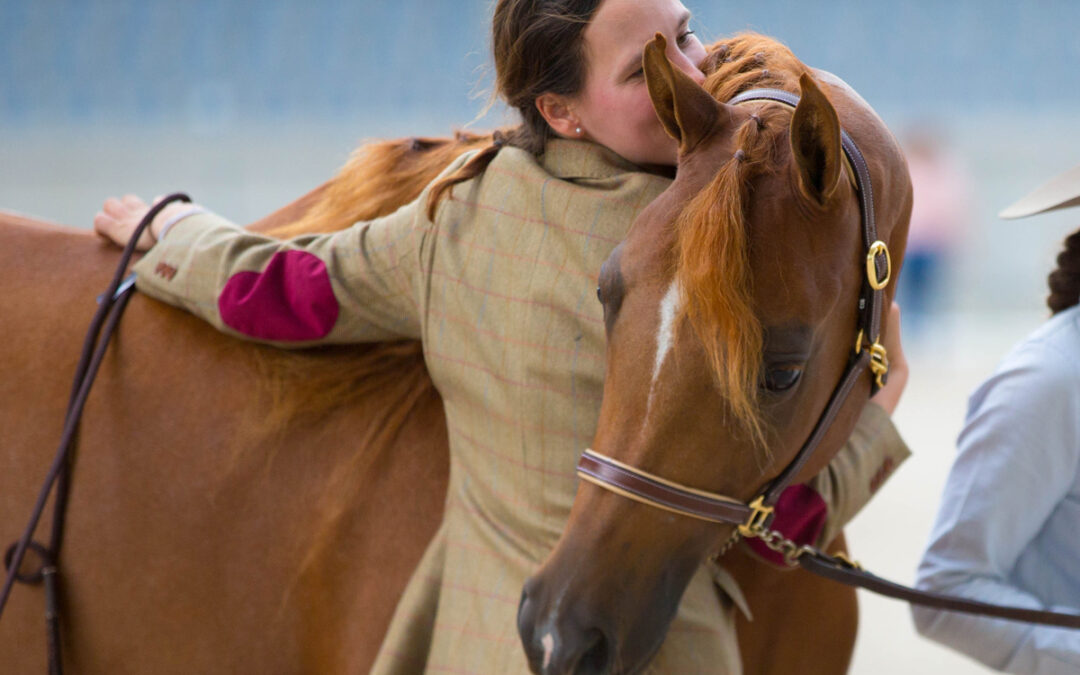 Rückblick ANC Reitturnier Aachen
