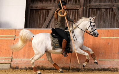 Arabisches Wochenende in Darmstadt-Kranichstein – 25. & 26. Oktober 2025 – SAVE THE DATE