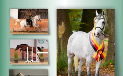 Katalog für das Arabische Wochenende in Darmstadt-Kranichstein