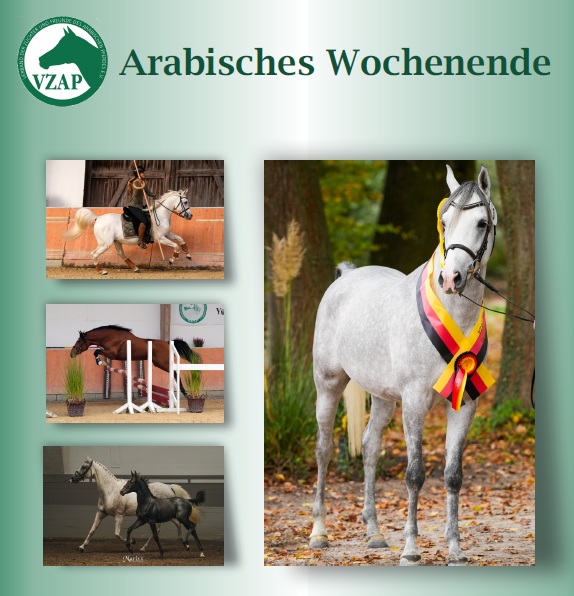 Sponsoring-Aufruf – Arabisches Wochenende Kranichstein