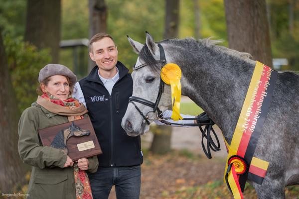 Hengstkörung und Eintragung – ein gelungener Auftakt für das Arabische Wochenende in Kranichstein
