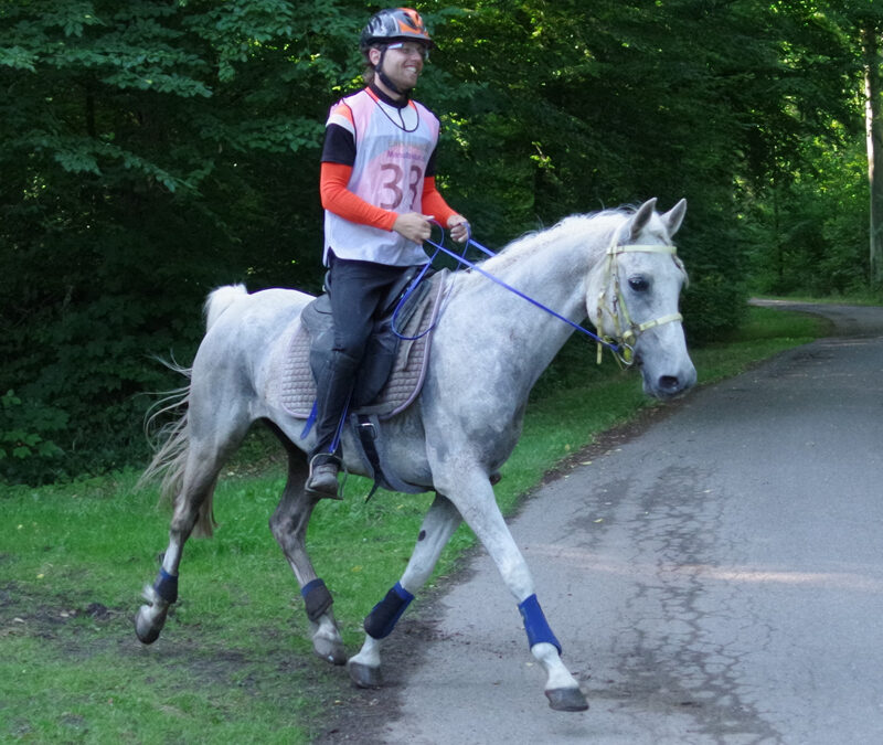 WAHO Trophy 2025 für White Pablo als Anerkennung für seine herausragenden Leistungen im internationalen Distanzsport