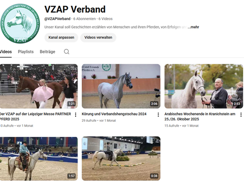 Youtube – Kanal des VZAP